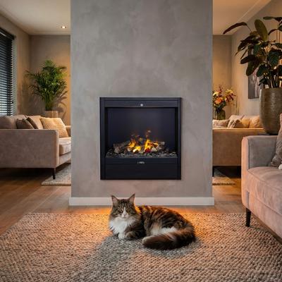 Albany electric fire with water vapour