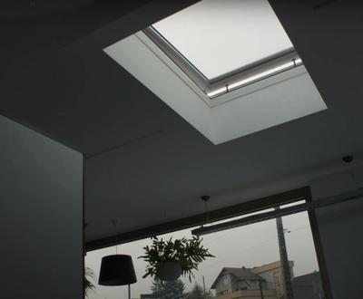 Flat roof window type F
